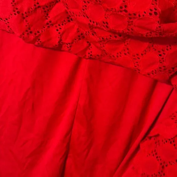 Ronni Nicole Red Lace Dress Size 12 Fit & Flare Sleeveless Elegant Party Wedding - Picture 5 of 6